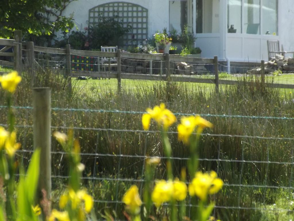 The Swallows Guest House New Quay  Værelse billede