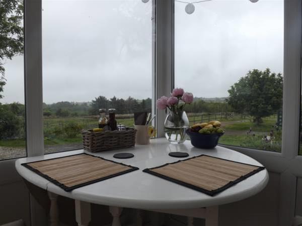 The Swallows Guest House New Quay  Eksteriør billede
